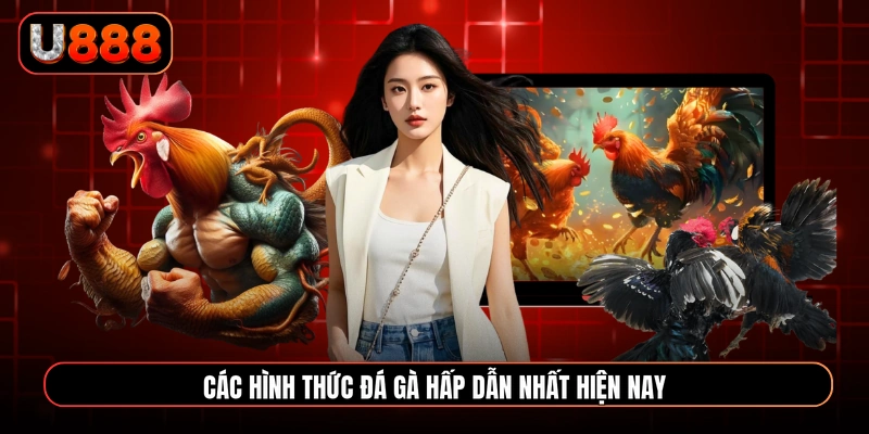 Các hình thức đá gà hấp dẫn nhất hiện nay
