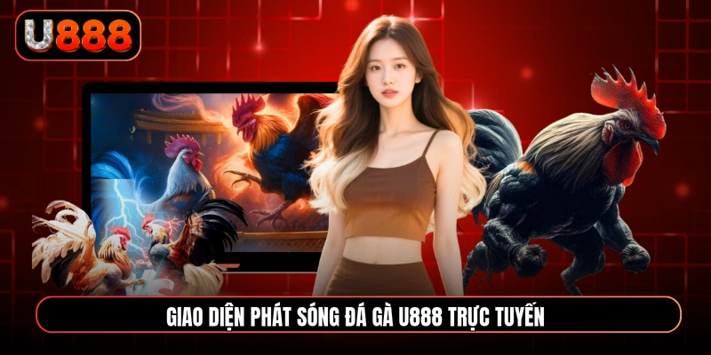 Giao diện phát sóng đá gà U888 trực tuyến