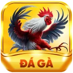 dagau888
